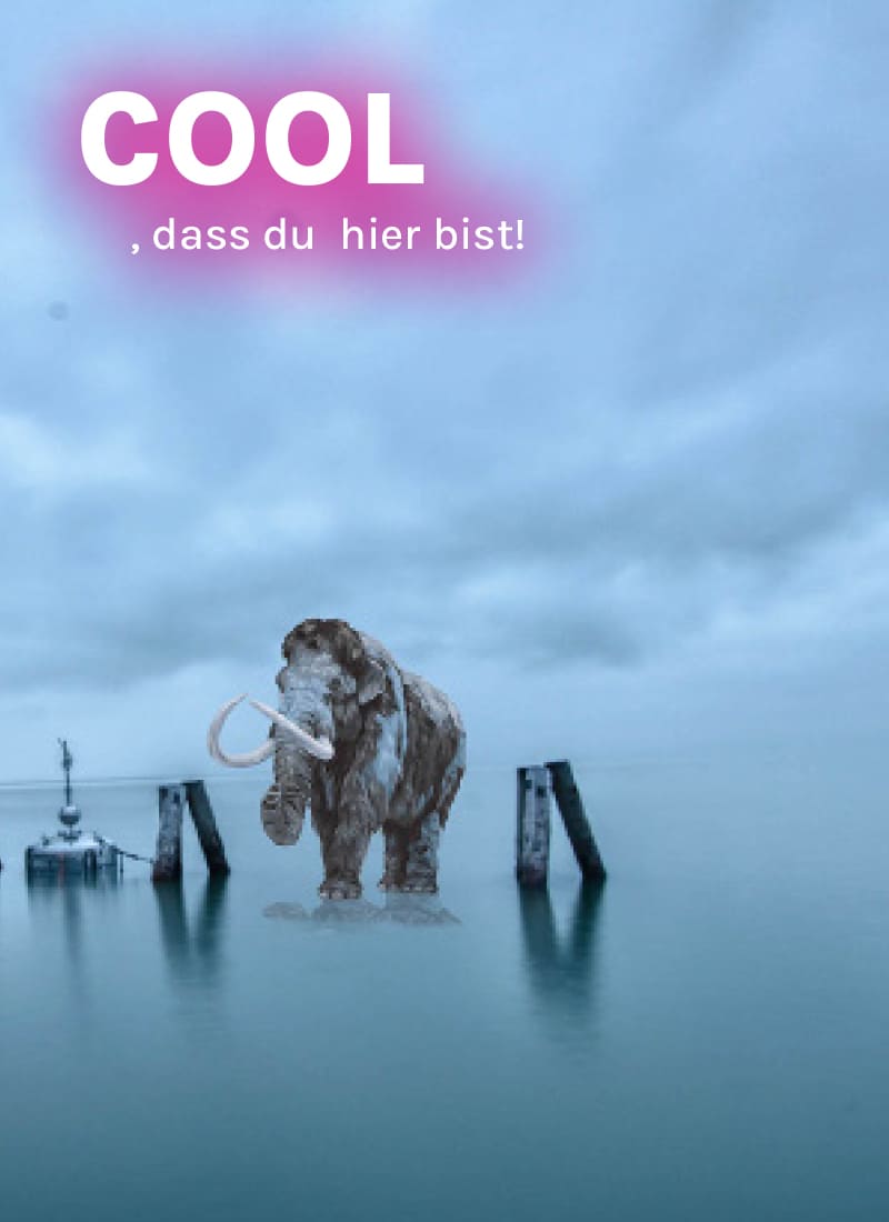 Sloboda Heuriger Schließung 2025 mobil