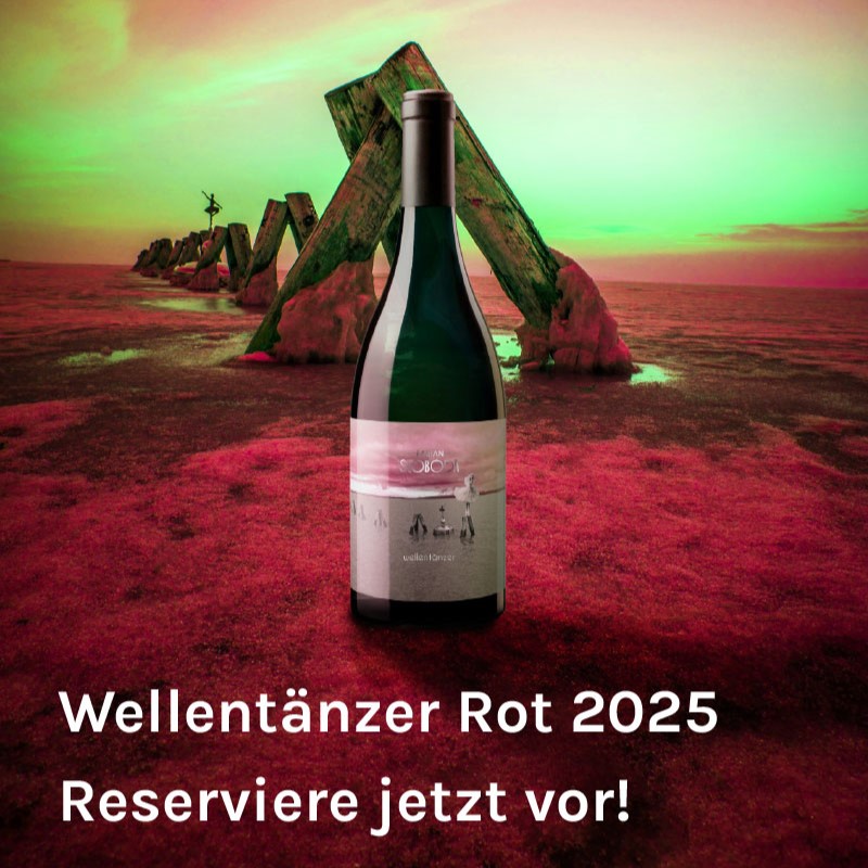 Header Wellentänzer November 2025