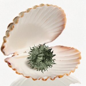 Heuriger geöffnet Heuriger geöffnet