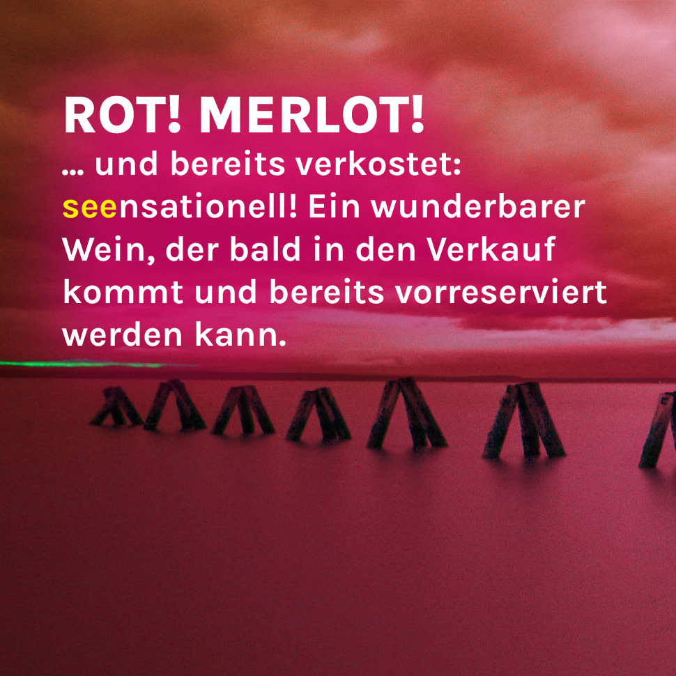 Header Wellentänzer Juni 2026